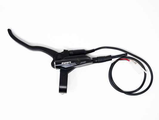 Ebox Rear Brake Lever